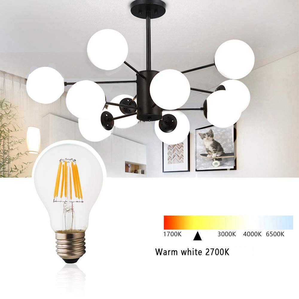 Générique Żarówki LED Globe 8 W, gwint Edison A60 E27, odpowiednik żarówki halogenowej 80 W, żarówka vintage, ciepła biel 2700 K, zestaw 10 szt