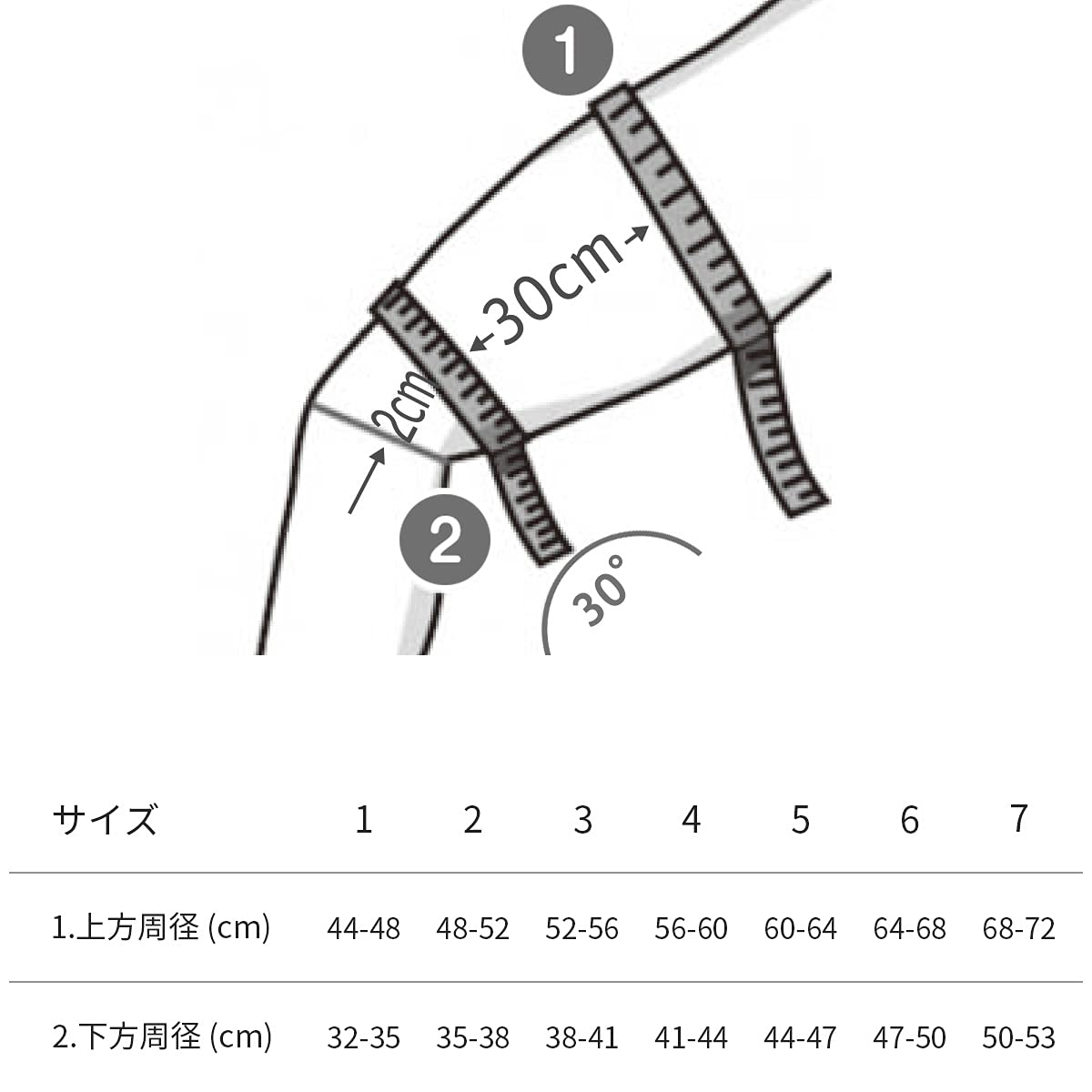 Bauerfeind MyoTrain Thigh Support (6)