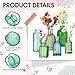 Yaomiao 30 Pcs Vases Bulk Colored Flower Glass Bud Vases Valentine Vintage Colored Glass Bottles Colorful Rustic Embossed for Home Wedding Table Decorations Gifts(Green Series)
