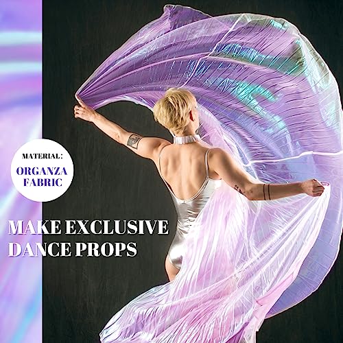 Ganeen 11 Yard Iridescent Fabric Organza Fabric Sheer 59 Inches Wide Rainbow Laser Gradient Lace Holographic Gauze for DIY Dress Curtain Costume Background Wedding Halloween Party Decor (Light Purple)