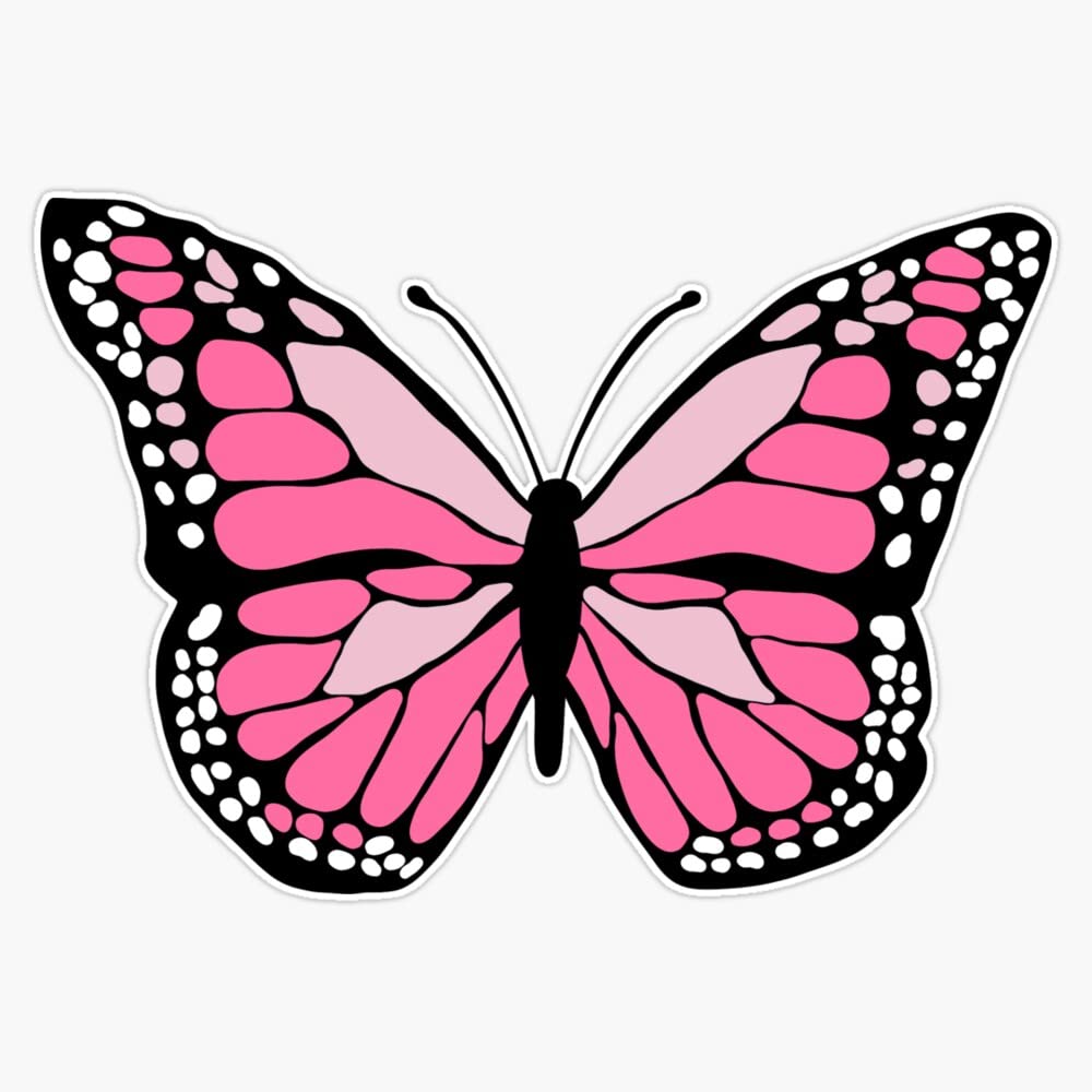 Pink Butterfly Bumper Sticker Vinyl Decal 5"
