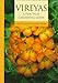 Vireyas: A Practical Gardening Guide
