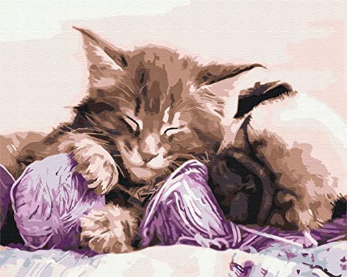 Peinture par numéros chat et chien pour apprendre à peindre facilement