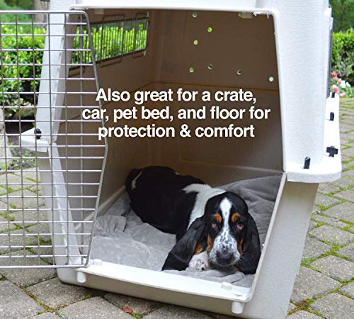 PetFusion Premium X-Large Hundedecke (60x48). Reversible Grey Micro Plush. [100% Polyester weich]