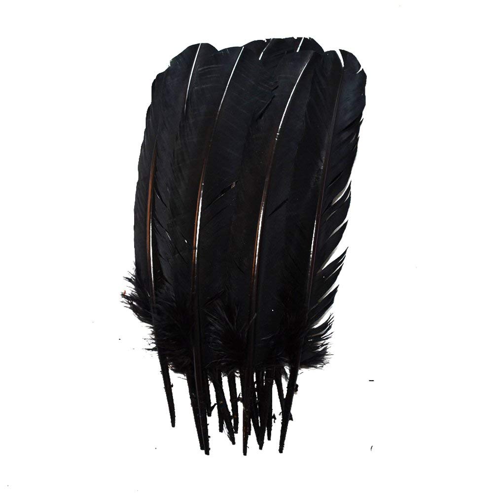 TIPTOP DECORATION Natural Dyed Goose Quills 12-14 Inch (5 Pieces) (Black) 1