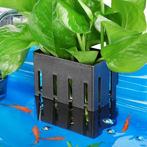 Aquarium-Pflanzenhalter Set – 4 Halter + 24 Saugnäpfe + 24 Haken – Für Wasserpflanzen Wie Pothos & Bambus