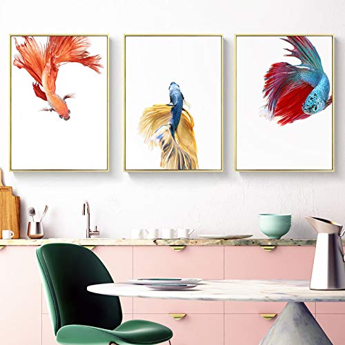 Lot de 3 affiches poissons rouges 70x100cm impression sur toile moderne pour salon