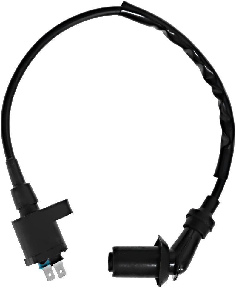 Saihisday Ignition Coil + CDI Box for Honda TRX250X FourTrax 250 1987 1988 1989 1990 1991 1992