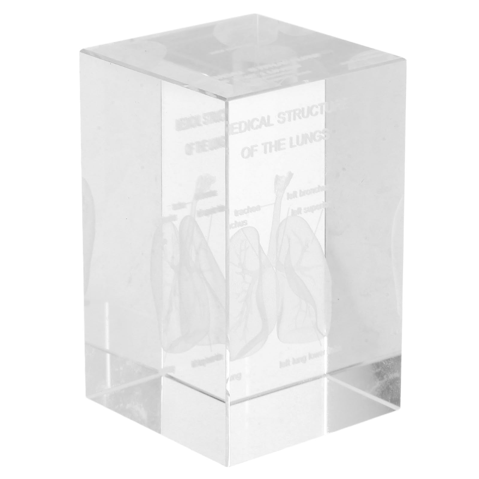 Modèle anatomique médical en cristal 3D de cœur et squelette pour l'éducation - 8