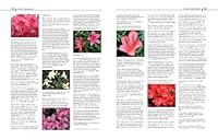 Satsuki Azaleas : For Bonsai Enthusiasts and Azalea Lovers 0976755017 Book Cover