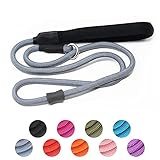 Strong Slip Rope Dog Training Leash (4ft) - Heavy Duty Durable Braided Nylon Lead with Rubber Stoppe