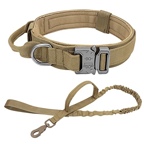Collier de chien militaire en nylon réglable avec longe robuste