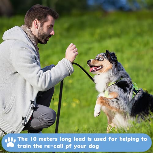 Schleppleine 10m für Hunde,Lange Hundeleine für Training und Outdoor,Ausbildungsleine für Kleine bis Große Hunde,Robuste Nylon Hundeleine mit Handschlaufe und D-Karabiner (Schwarz)