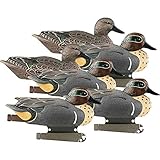 GreenHead Gear Avery GHG Life-Sized Green Winged Teal - 6 Pack