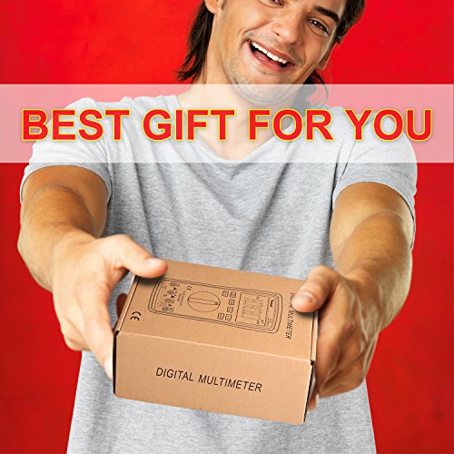 Auto Ranging Digital Multimeter Trms 6000 With Battery Alligator Clips Test Leads Ac/Dc Voltage/Account,Voltage Alert, Amp/Ohm/Volt Multi Tester/Diode #TOP6