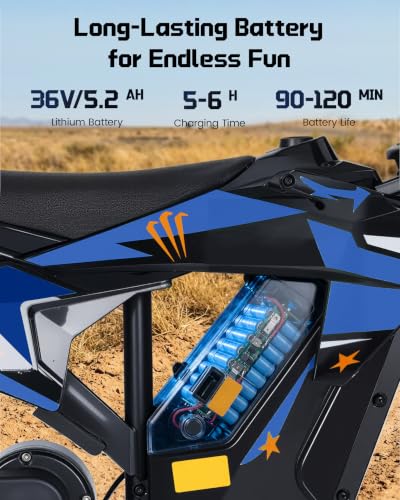 FIRSTNESS 36V Electric Dirt Bike