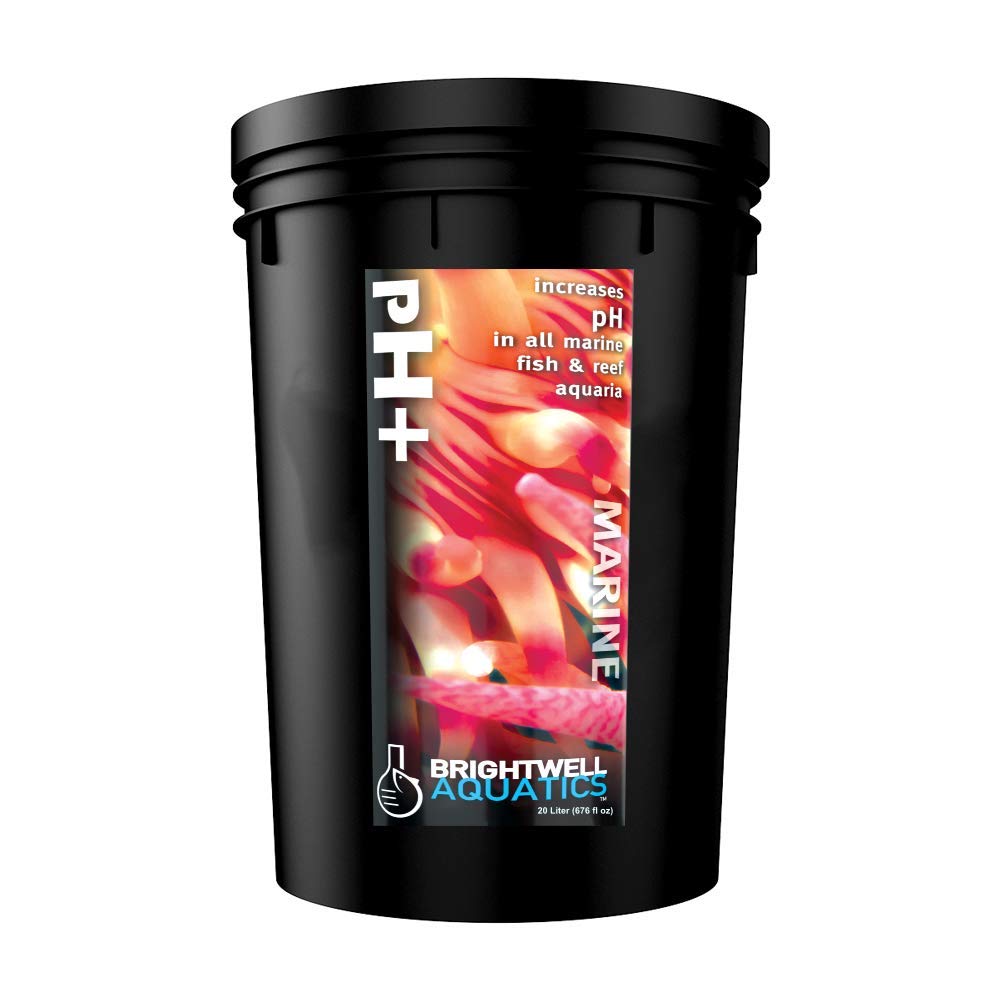 Brightwell Aquatics pH + évite la chute de pH et protège les poissons du bac 20L
