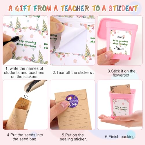 Cadeaux de classe pour élèves : lot complet sans stress pour profs