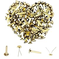 MingFontec 100 Stück Musterbeutelklammern Musterklammern Mini Brads Leicht und Wiederverwendbar Metall Rundkopfklammern Scrapbooking Für Schule Büro Papier Briefklammern Basteln Handwerk DIY (Golden)