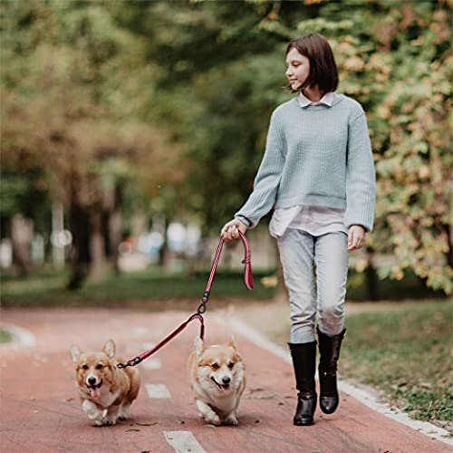 image for KRUZ PET Kruz Double Dog Coupler - KZVX2-05S - Tangle Free Dog Walking