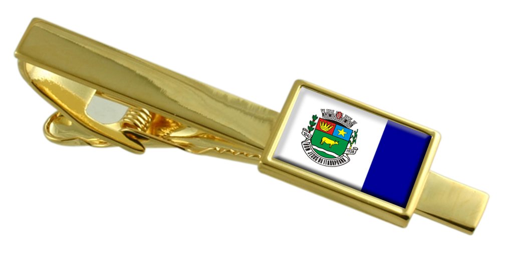 Clip de corbata de oro Bom Jesus do Itabapoana Río de Janeiro elegante 3