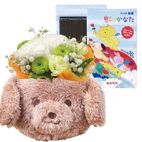 Ԃ̃Mtg    AW  ybg   ybgp Zbg ~