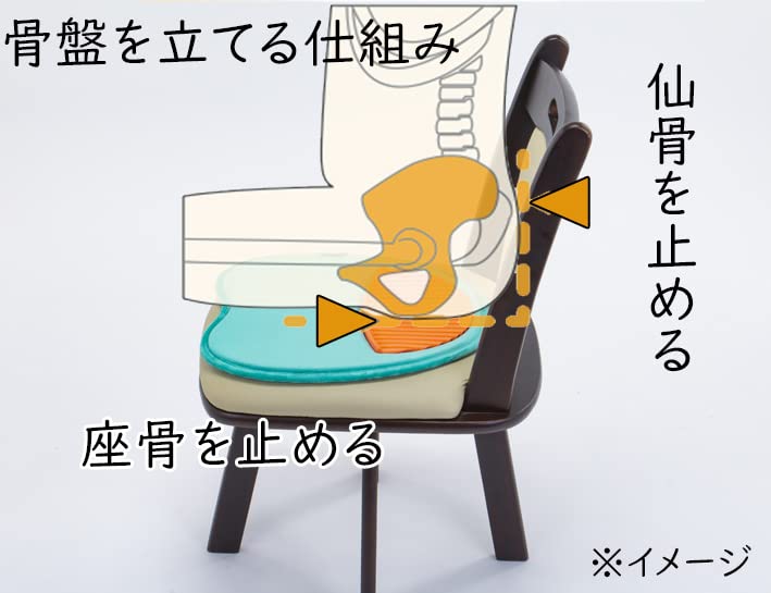 Amazon.co.jp: ヒューマンシップス ZAGOOプレミアムクッション