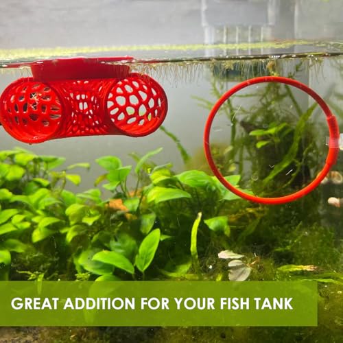 Image of Floating Betta Tunnel for Betta Training. Interactive Training & Enrichment Toy for Betta Fish - Stress Relief & Exercise Accessory, Floating Betta Fish Toys