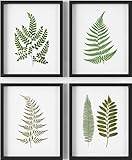 Fern Wall Art (Set of 4) - 8x10 - Unframed - Botanical Prints - Green Decor