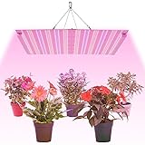 🌱【Ahorrar energía】217 / 5000 翻译结果 Luz de planta LED sin ventilador sin ruido. Controlador de alto rendimiento de seguridad y placa de aluminio de alta calidad, no emite una gran cantidad de calor, la lámpara incandescente de 600 W consume solo una lámpara LED de 75 W, lo que reduce el costo de energía.