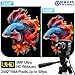 Global Shutter USB Webcam High Speed 5mp@50fps 1440P@60fps Industrial Video Camera with 5-50mm 10X Zoom Lens Variable Focus Close-up PC Camera CS Mount UVC