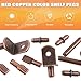 Rustark 155Pcs 5 Styles Bronze Shelf Pegs Shelves Pins Bracket Pegs Cabinet Support Metal Pegs Assortment Kit for Glass Shelf Holes Bookshelf Furniture