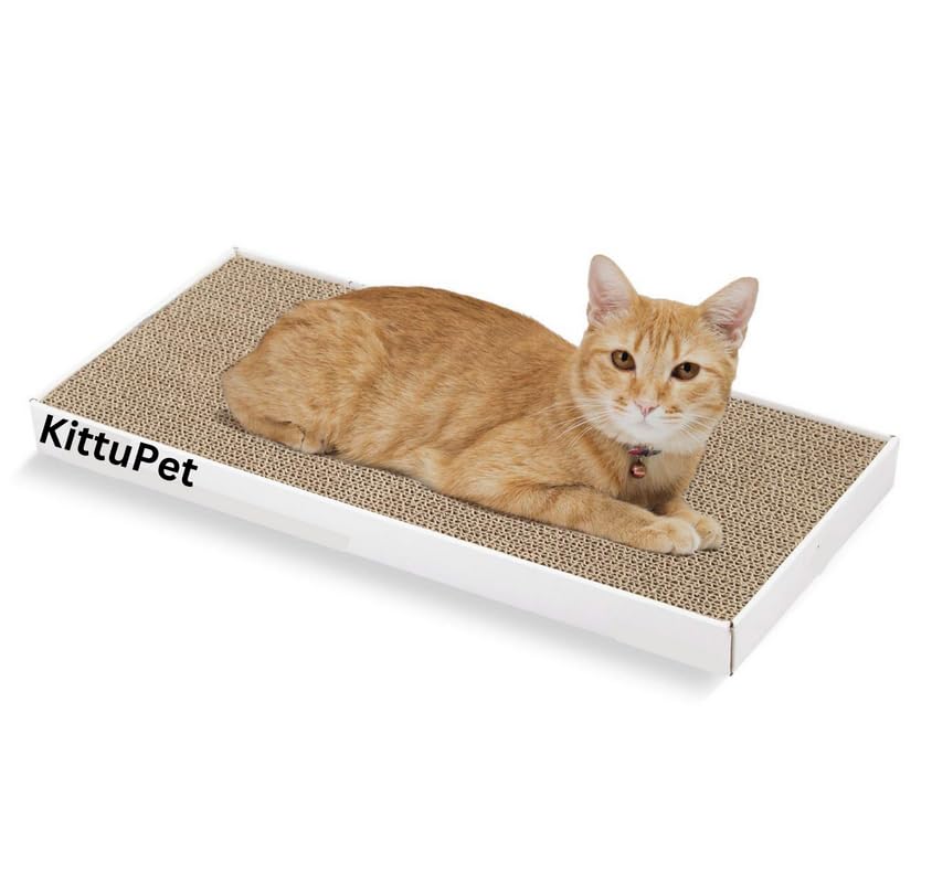 KittuPet Cat Scratch Pad,Scratcher with Catnip,Scratching Posts,Cat Toy Scratch Board Pack of 1 (B0CCJQMZYL) Amazon Price History, Amazon Price Tracker