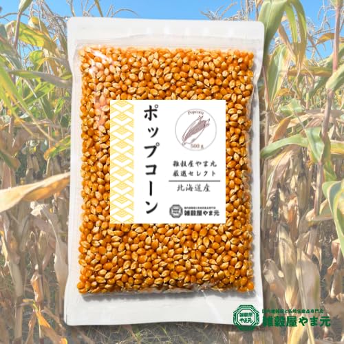Amazon.co.jp: 北海道産 ポップコーン 豆 500g 雑穀屋やま元【電子