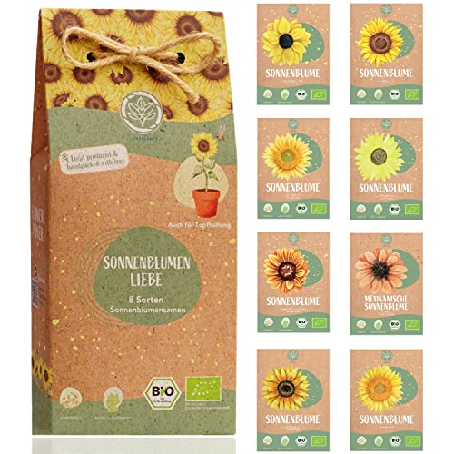  Sonnenblumen Kindergarten – Die 15 besten Produkte im Vergleich Bildidee 