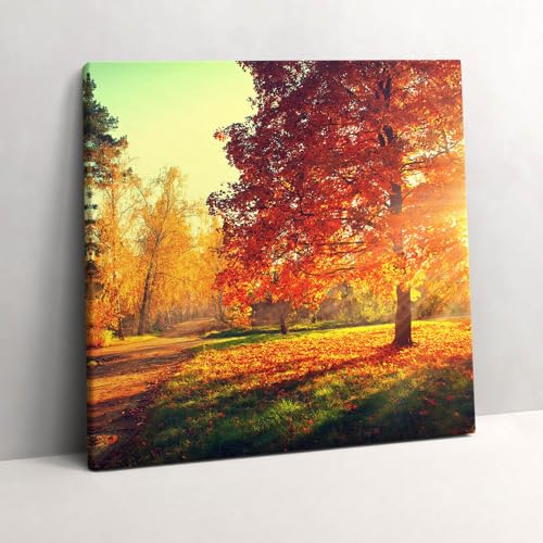 Grand Tableaux 60x60cm Parc d'automne pour créer un salon chaleureux