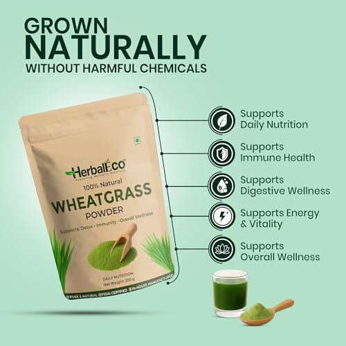 Image of Wheatgrass Powder | 100% Pure Wheatgrass Powder (Triticum Aestivum) | Natural Green Superfood for Daily Nutrition & Wellness | No Preservatives | Superfood Natural Detox & Immunity Booster | 200g