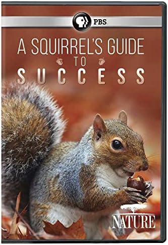 NATURE: A Squirrel's Guide to Success DVD