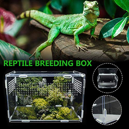 Cuffslee Insectenvoerdoos, 33,5 x 18 x 20 cm, acryl-reptielen, voedingsbox insectenspinnen, acryl-kweektank, glazen container voor mini-dierenhuizen - Afbeelding 6