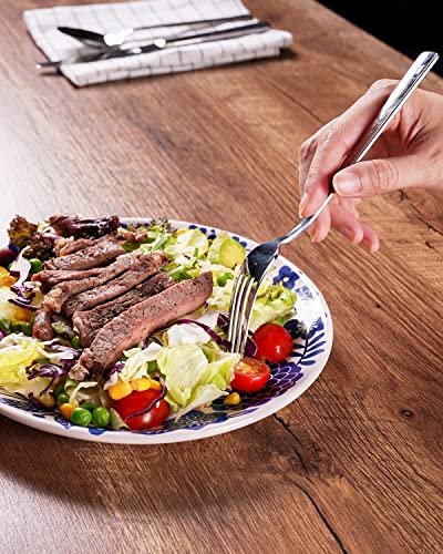 Sonemone Blue Salad Plates Set Of 4, 8.75 Inch Bird Ceramic Lunch Plates For Salad, Snack, Pasta, Microwave, Oven And Dishwasher Safe, Scratch Resistant #TOP6