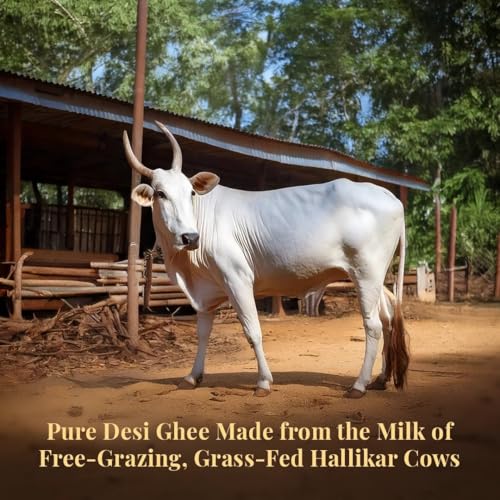 Image of Asmita Organic Farms Hallikar Cow A2 Ghee 1 Litre (Glass Jar) | Hand-Churned Traditonal Bilona Method | Grass-Fed & Pasture-Raised in Karnataka | Rich Aroma | Healthy & Natural Danedar Desi Ghee