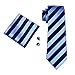 Barry.Wang Classic Blue Men's Tie Set Business
