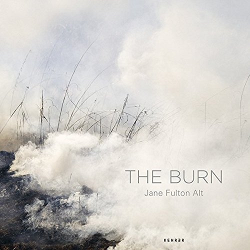 The Burn by Associate Director and Chief Curator Deborah Gribbon (2013-10-22)