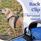 rabbitgoo Dog Harness Medium with Neck Release Buckle, Adjustable No Pull Harness with Front Back Clips, Soft Padded with Easy Control Handle, Reflective Pet Walking Vest, Blue, M - Image 8