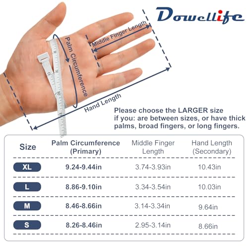 Dowellife Level 8 Reinforced Cut Resistant Gloves, Food Grade, Knife Safety Gloves for Meat Cutting, Oyster Shucking, Fish Fillet, Kitchen Slicing Carving, Small (Pack of 2)