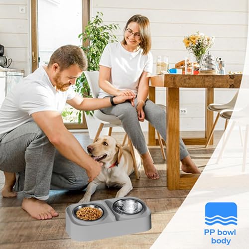Double dog feeder surélevé idéal pour les repas sereins du chaton à la maison - 4