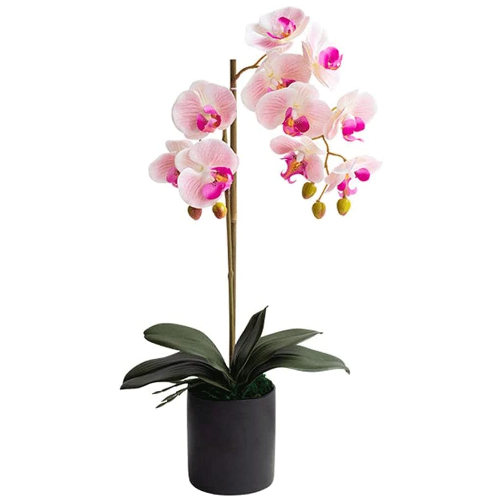 XDLEDMKIZ Orchid Artificial Flowers Potted Faux Orchids Lifelike Centerpiece Artificial Phalaenopsis Flowers for Home living Room office Artificial Flowers natural look