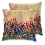 LONSANT Throw Pillow Covers Set of 2,Texas Bluebonnets and Indian Paintbrush Wildflowers Blooming On