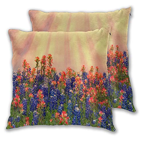 Lonsant Throw Pillow Covers Set Of 2,Texas Bluebonnets And Indian Paintbrush Wildflowers Blooming On The Meadow In Spring,Farmhouse Pillows Decorative Square Pillow Cover For Sofa Couch Decor 18"X18" #TOP9