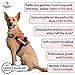 Emotional Support Dog Vest Harness with Reflective Straps and Matching ESA Leash Set - ESA Dog Vest in 7 Adjustable Sizes - Vests for Working Dogs